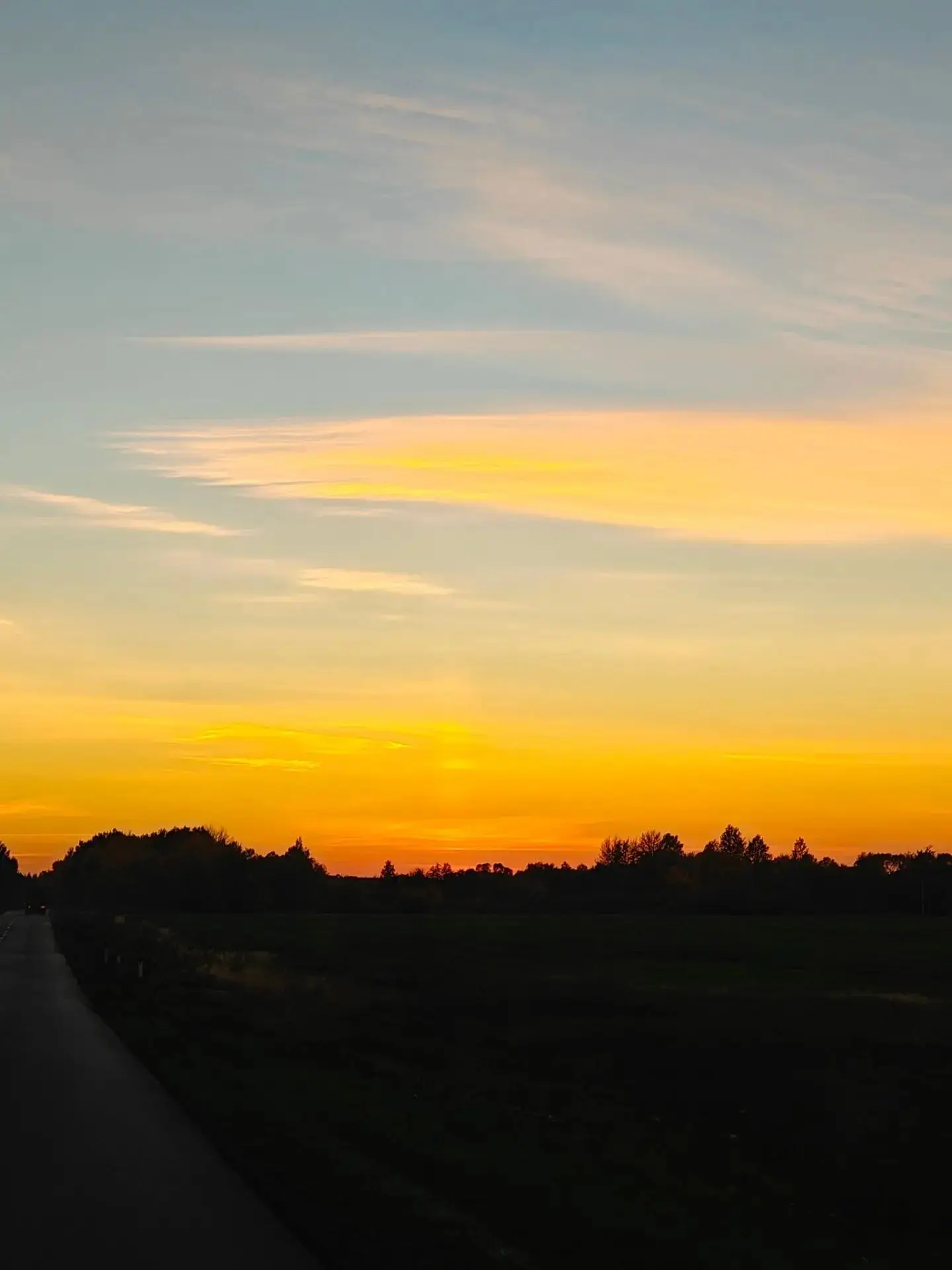 🌦 До +21° без осадков ожидается в Курской области 11 октября