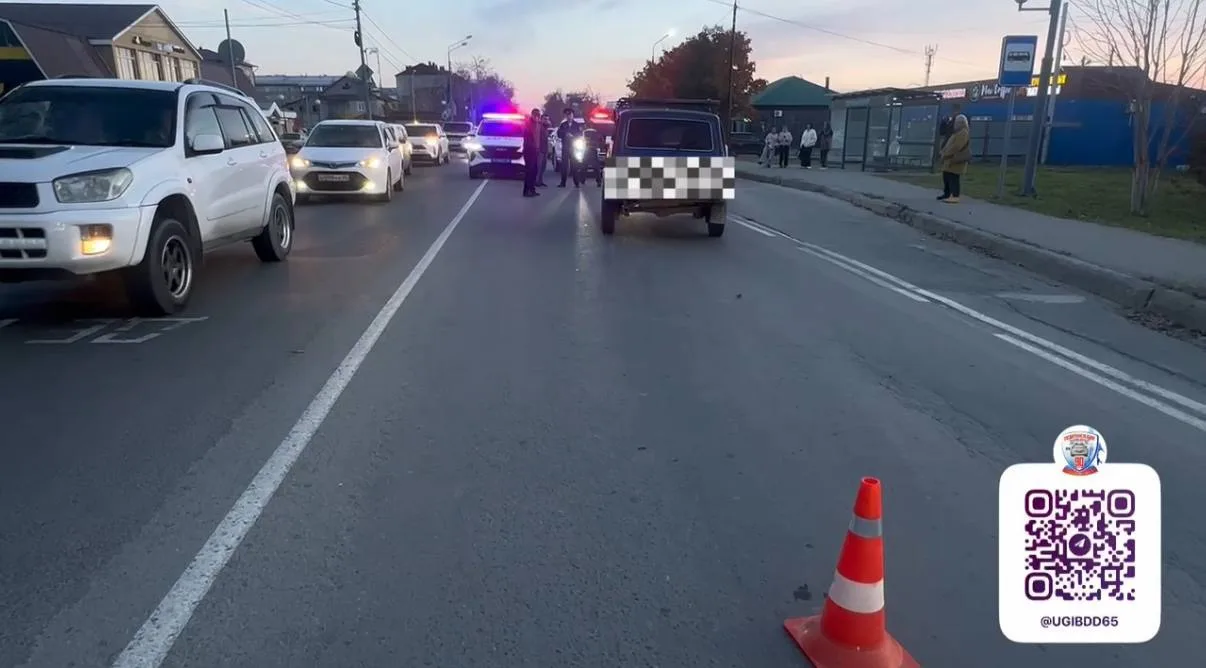 🚨В Южно-Сахалинске 84-летний водитель сбил двух детей на пешеходном переходе