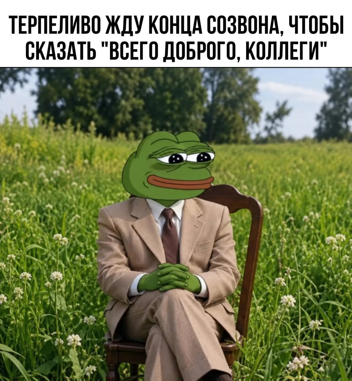 Моя функция на 95% созвонов
