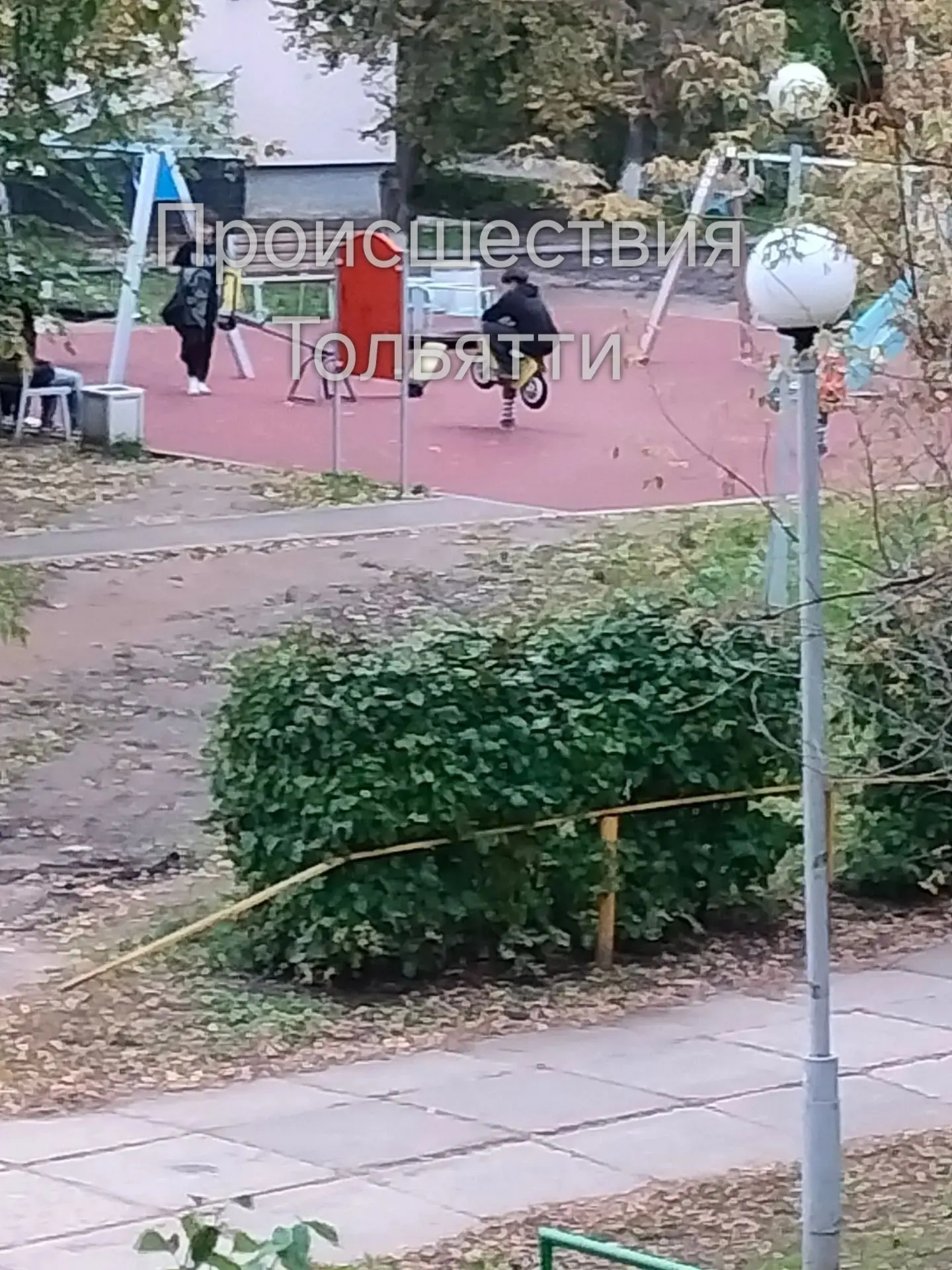Это нормально?!- спрашивает автор.