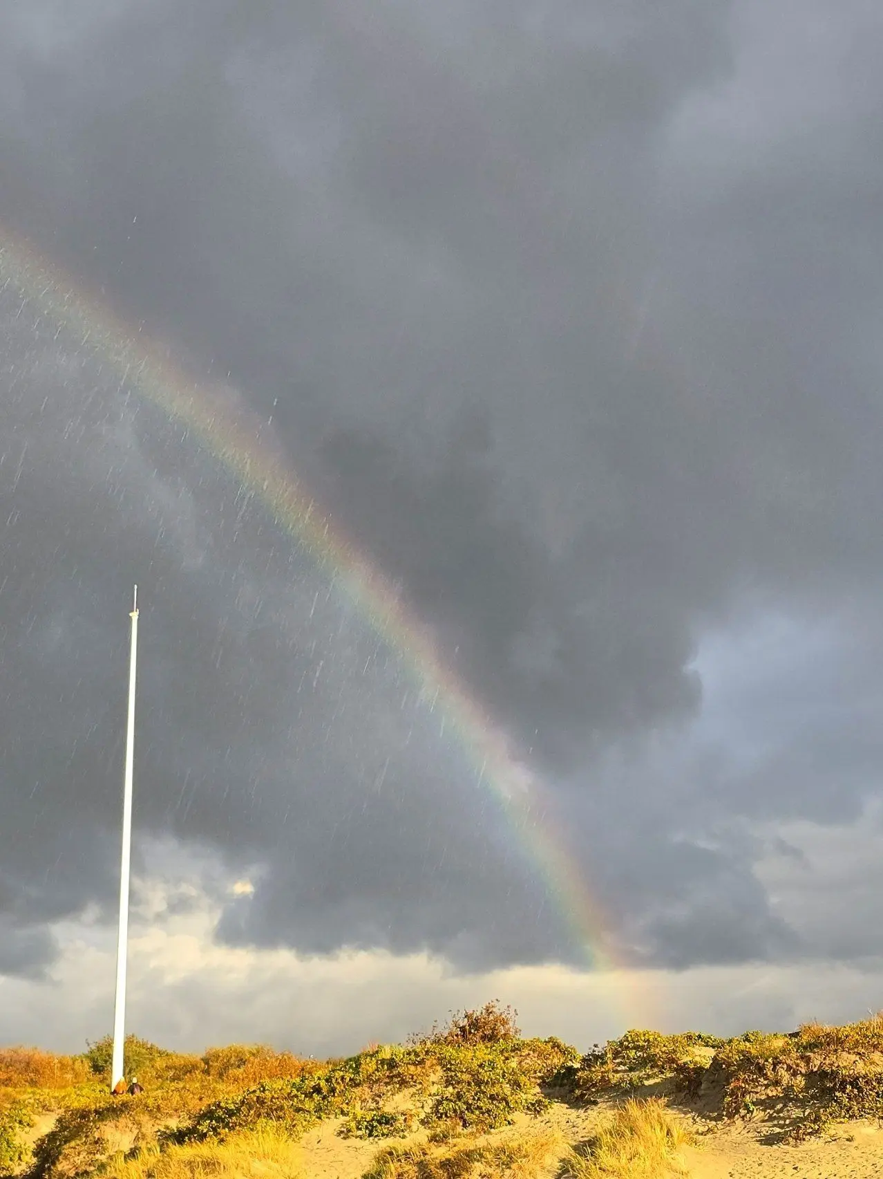 🌈🌧Редкое сочетание – яркая радуга и дождь одновременно на пляже Балтийска.