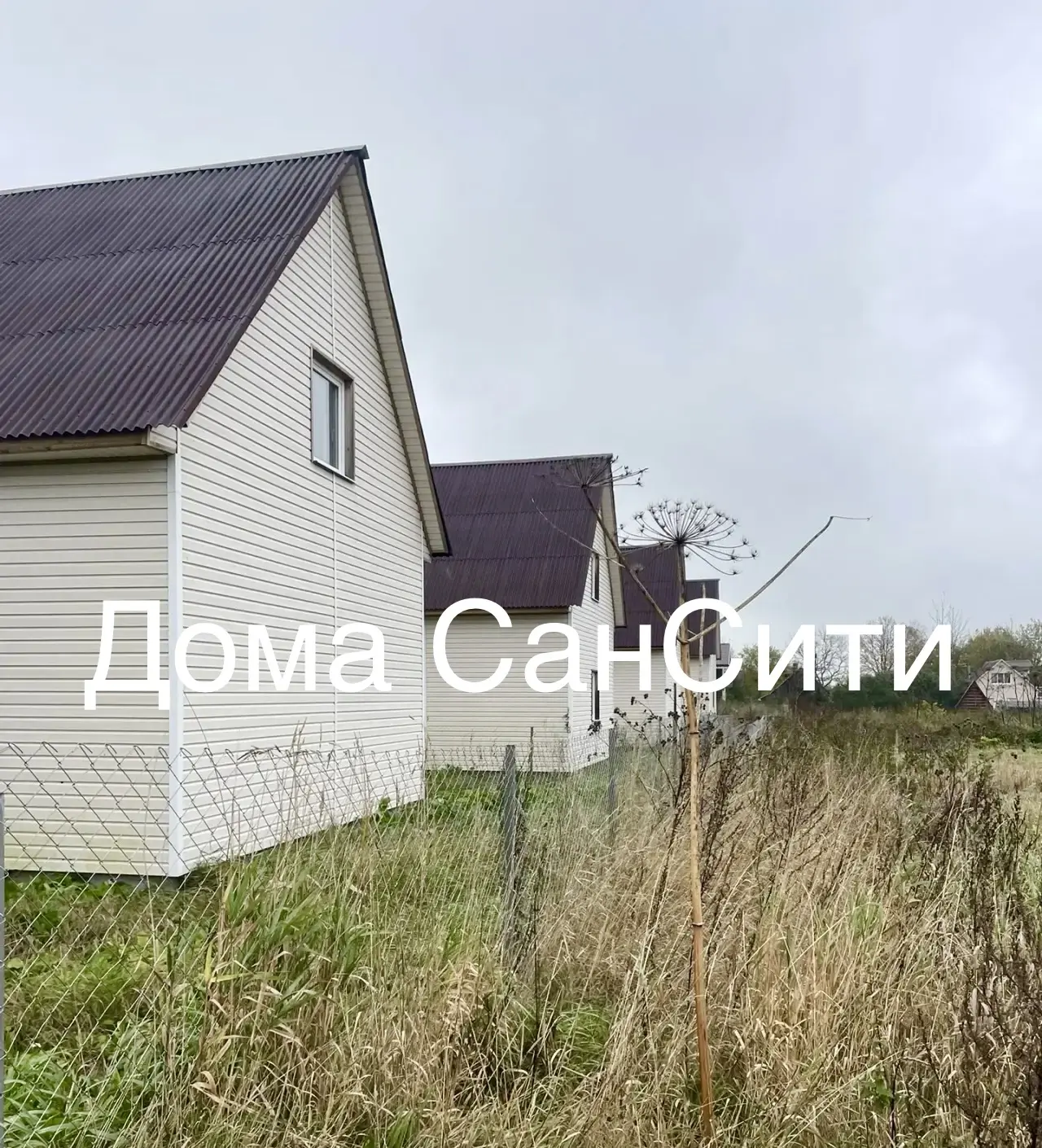 🏠 деревня Старый Бор
