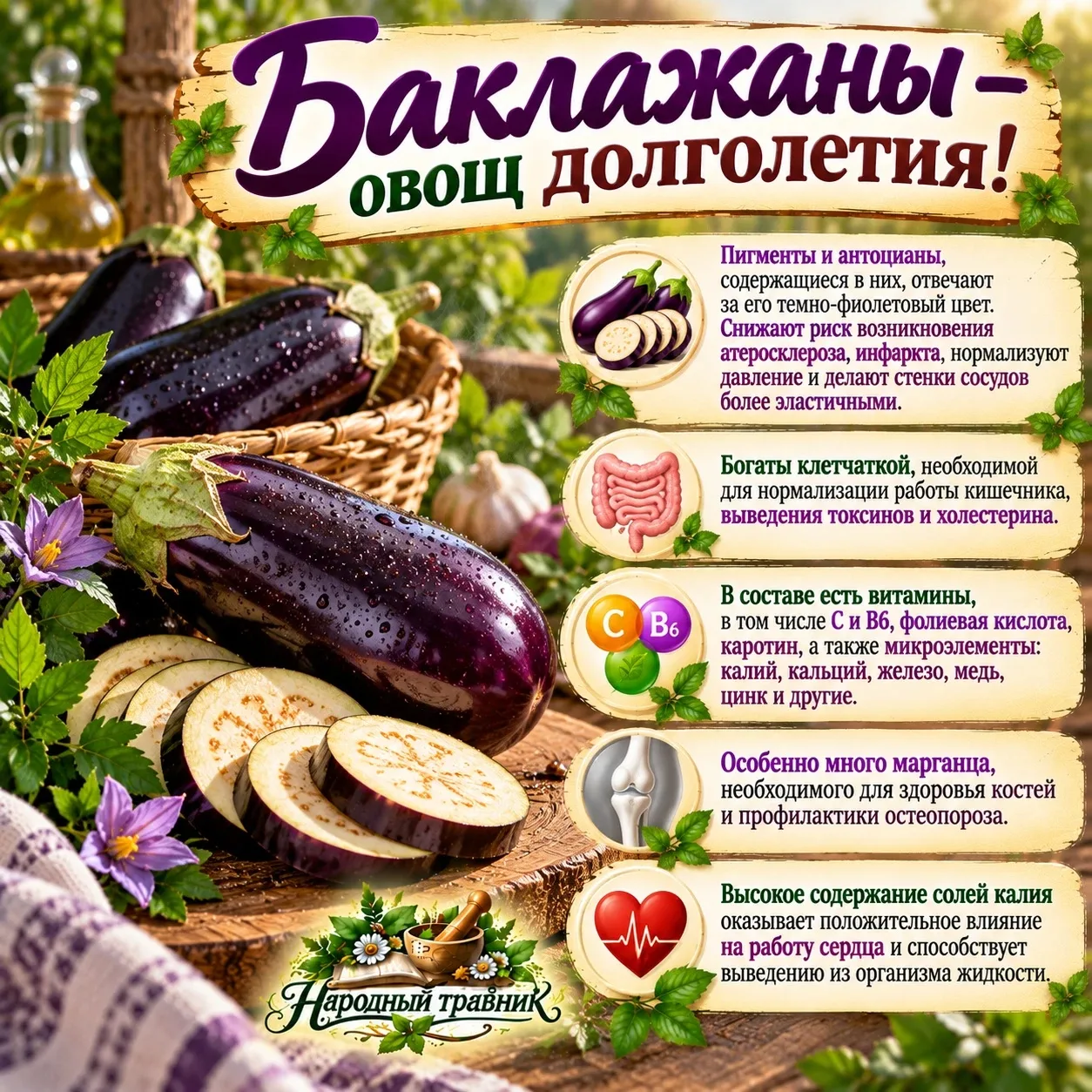 Баклажаны — овощ, который продлевает жизнь! 💥