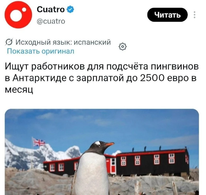 Ребята, есть неплохая халтурка