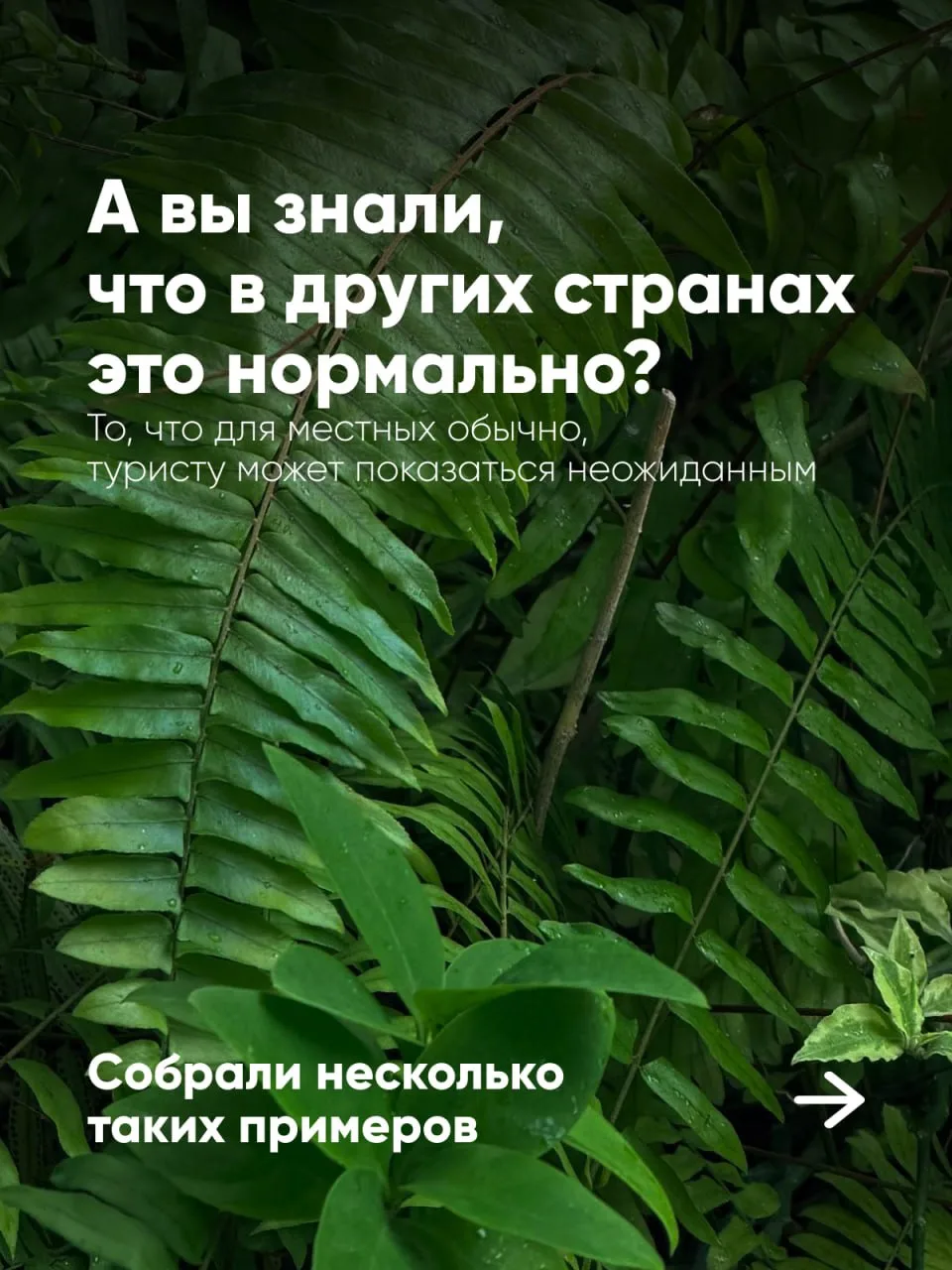 😎 Необычные факты про разные страны.