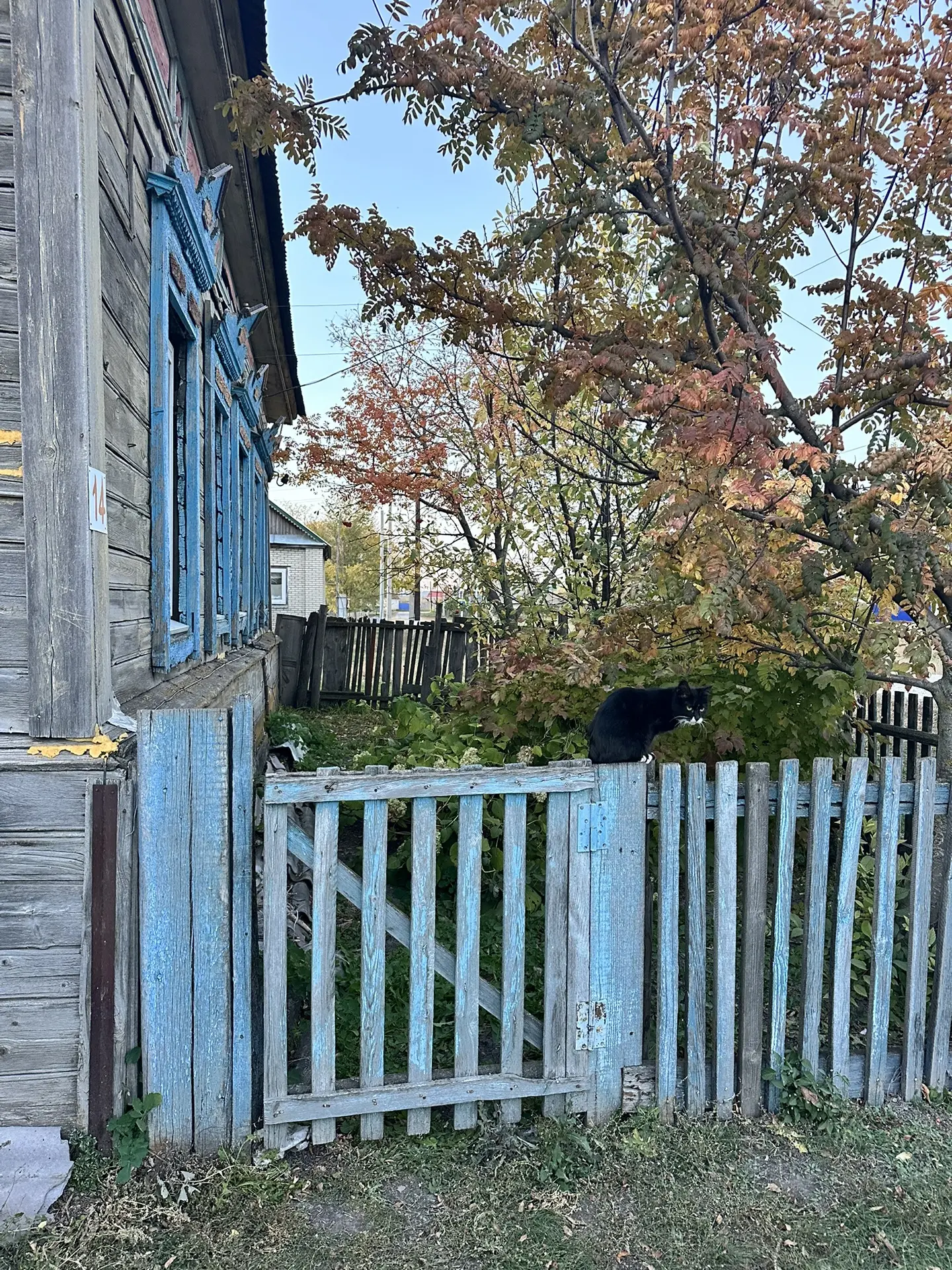 Ездила к бабушке