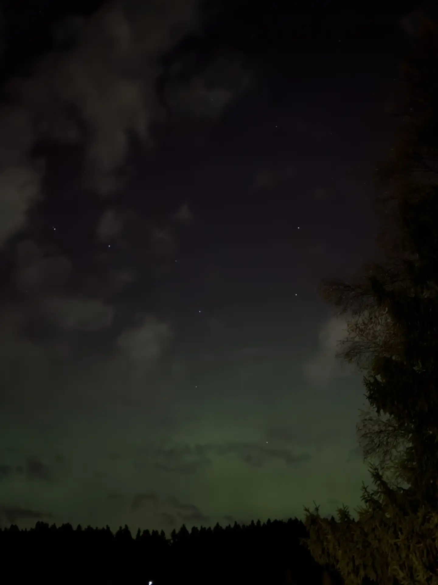северное сияние удалось заснять 🌌