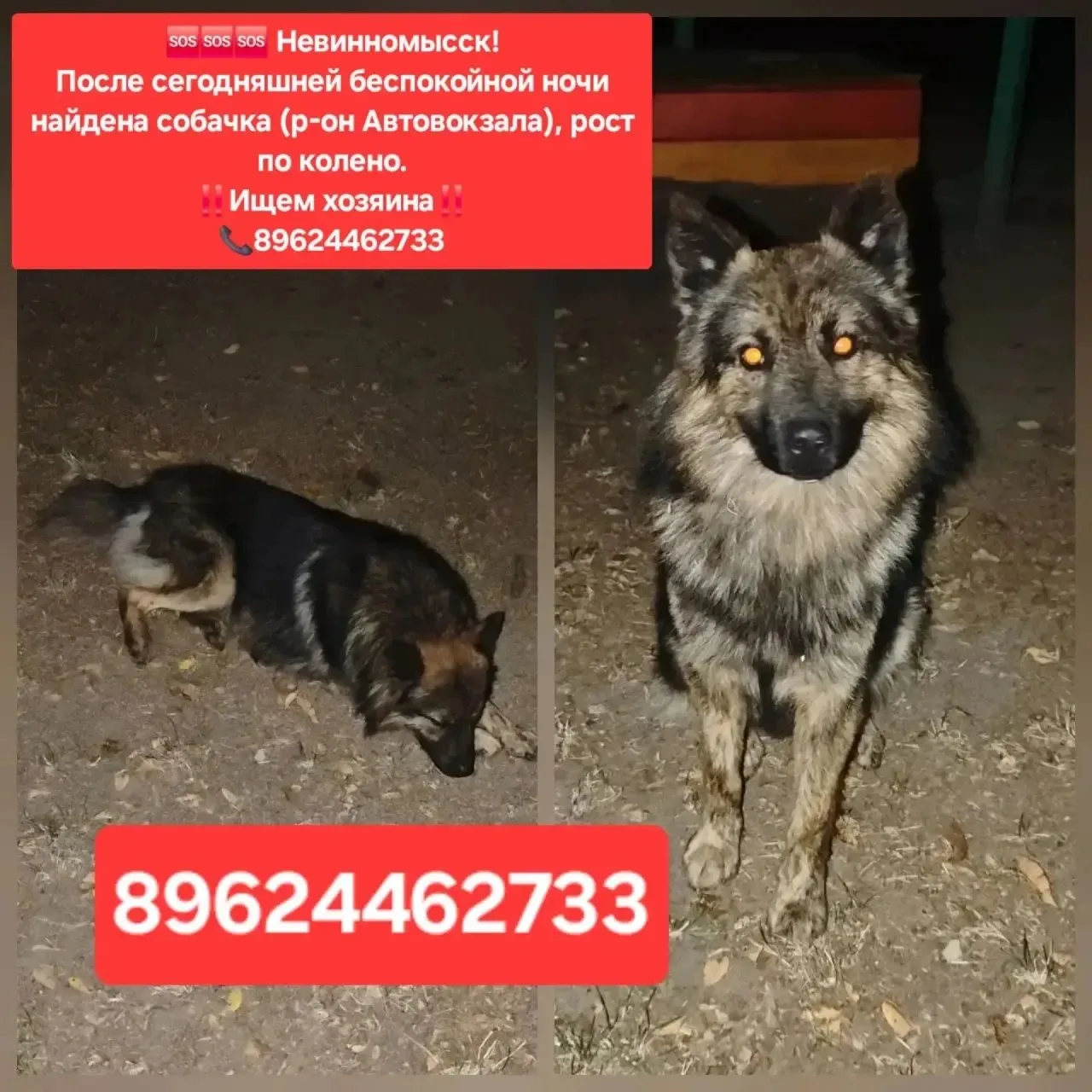 👉🏼 Подпишись