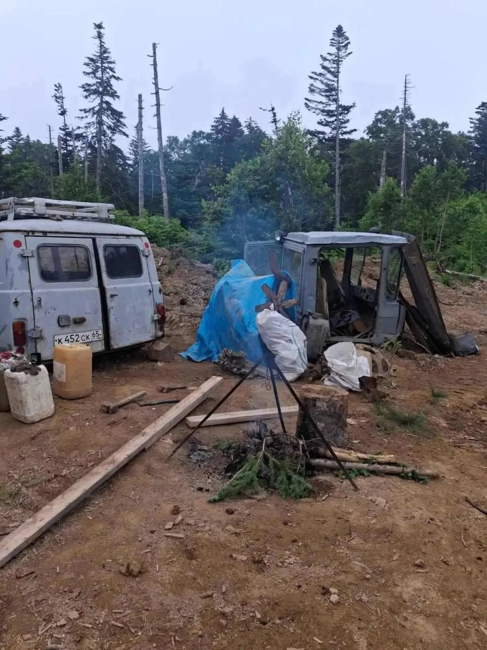 На Сахалине с помощью БПЛА засекли крупного "черного" лесоруба