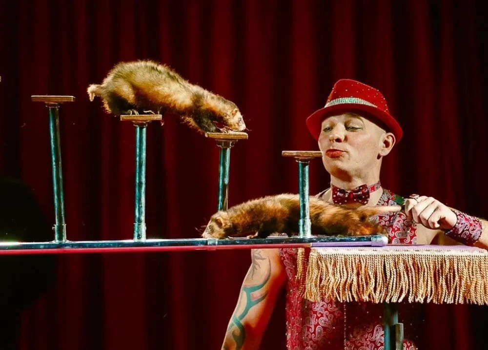 🎪 Афиша мероприятий на 9 октября