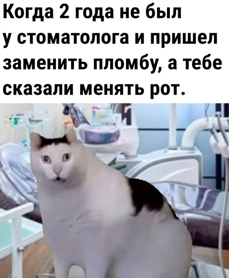 Я всегда до жути, до трясучки, до мокрых рук боюсь стоматологов. Сижу в коридоре в ожид...