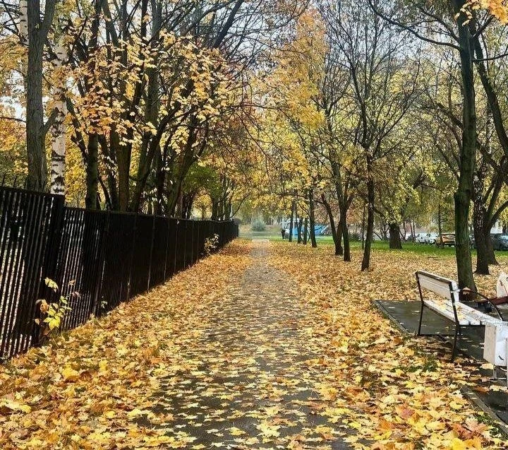 🚧 Грачёвка закрыта для посещения