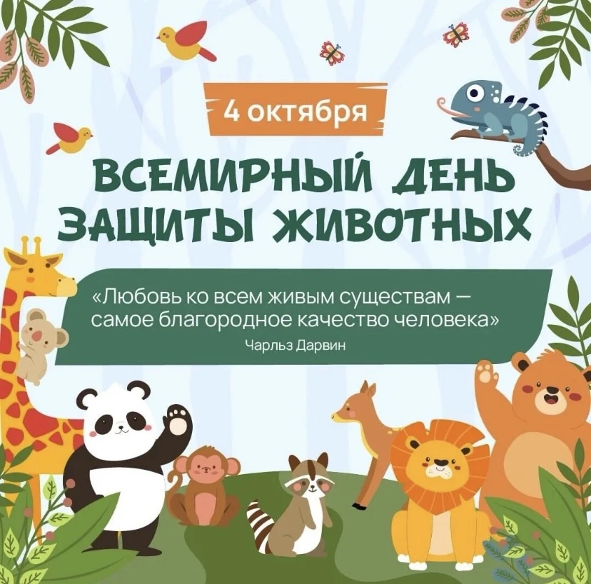 🐱4 октября - День защиты животных