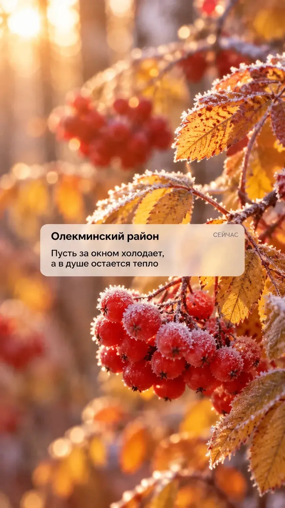 Подготовили обложки для ваших телефонов ❤️