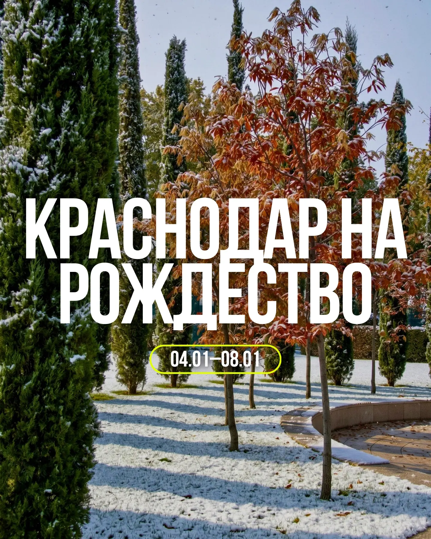 🎄✨ Рождественские каникулы в Краснодарском крае