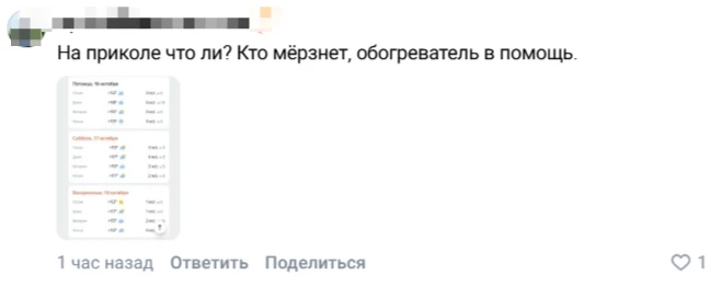 Воронежцы уже высказались об отопительном сезоне под постом мэра Сергея Петрина