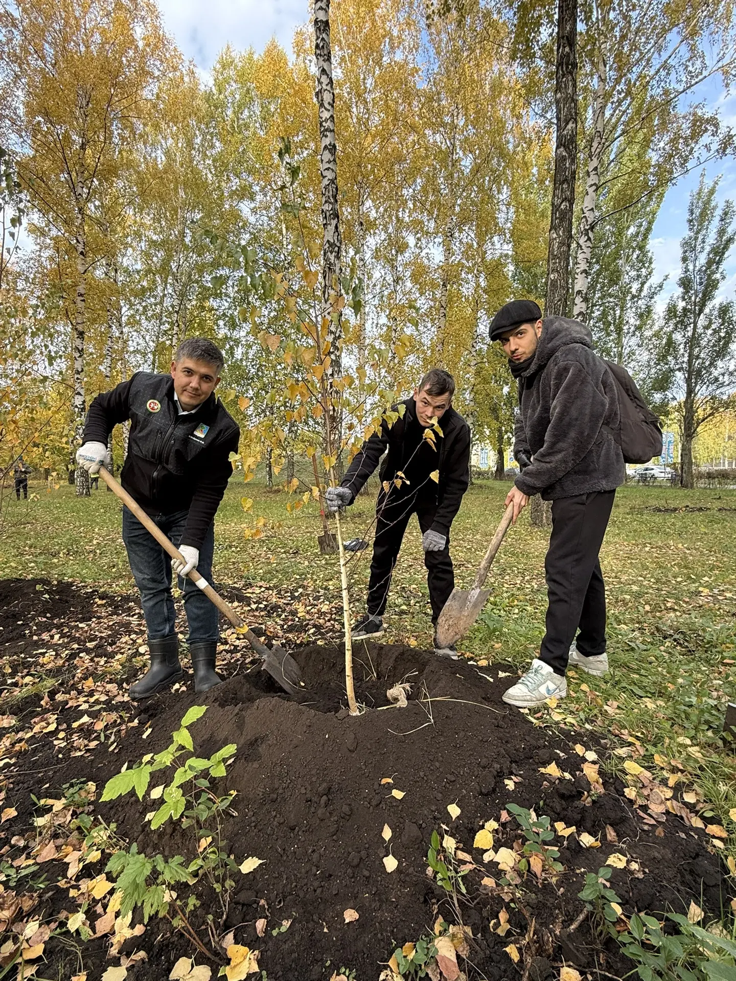 🍂 Марафон осенних посадок продолжается 🌳