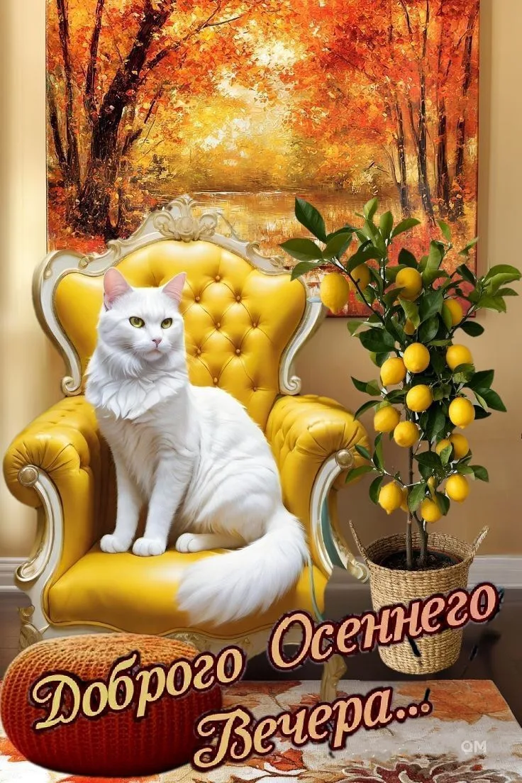 Доброго осеннего вечера!
