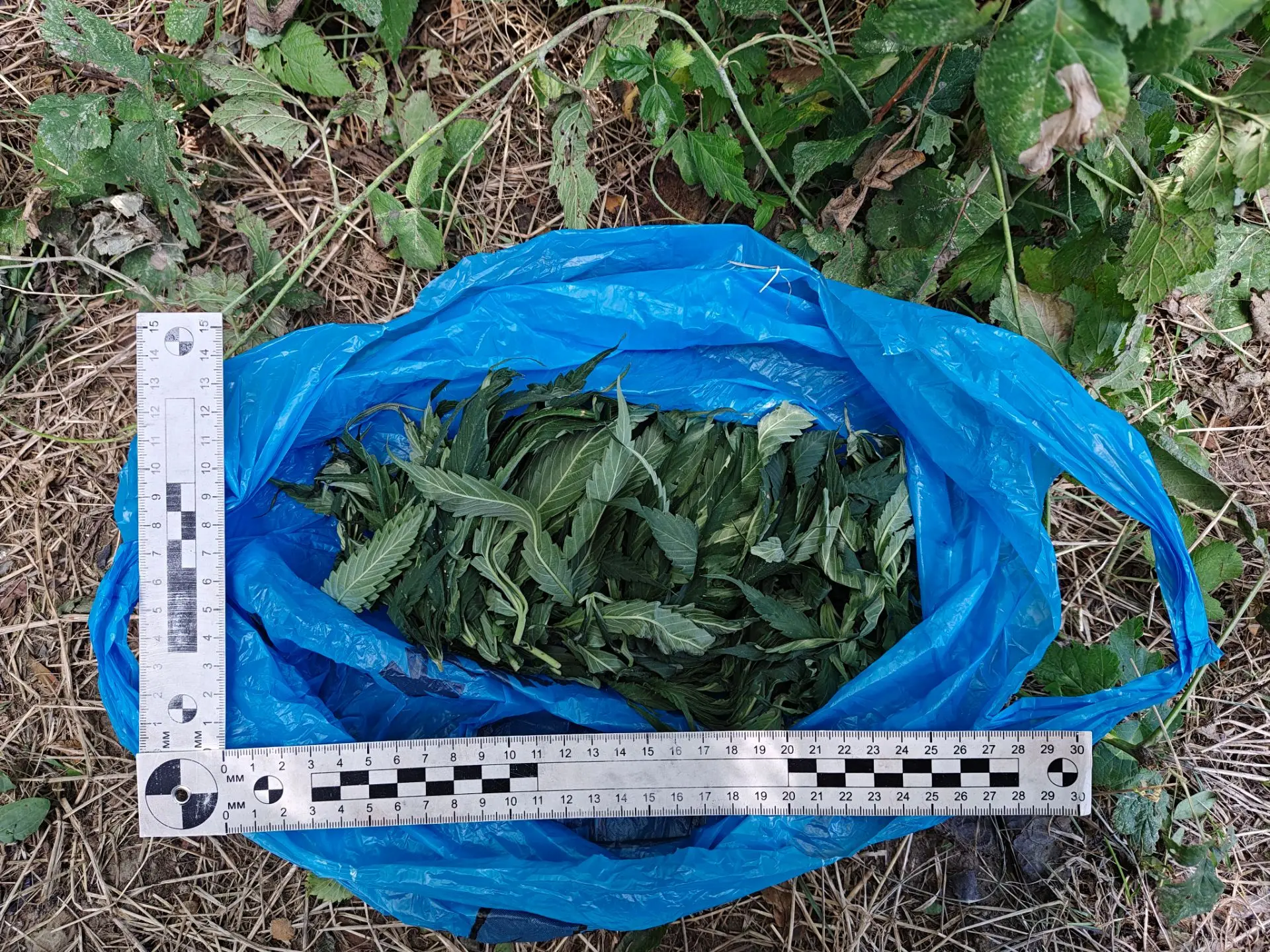 А в пакете оказалась марихуана