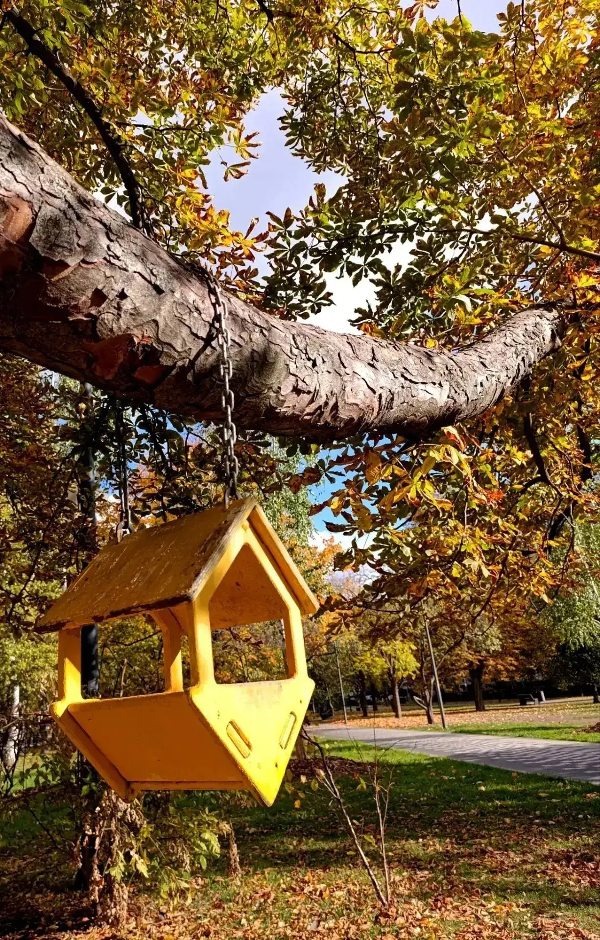 Золотая осень в Ярославле 🍂🍁😍