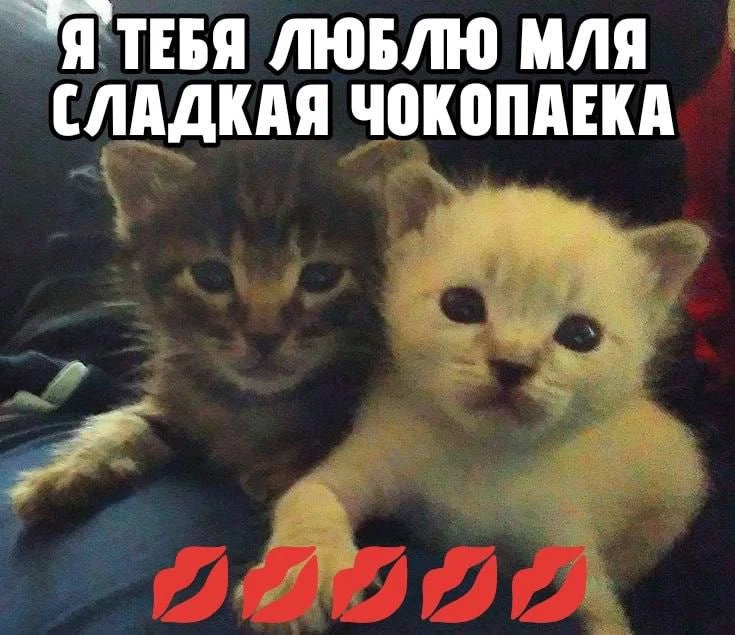 *ты знаешь, кому переслать <3
