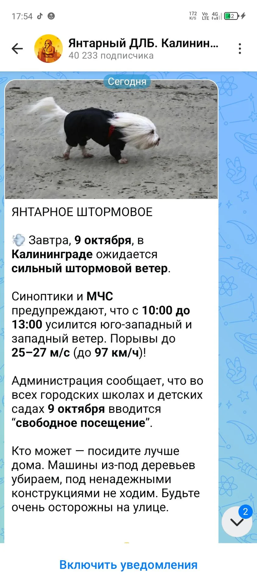 Завтра в Калининграде будет 🌪