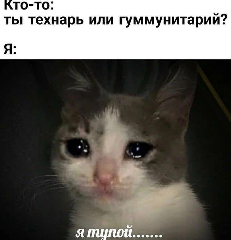 Мемы каждый день • Подписаться