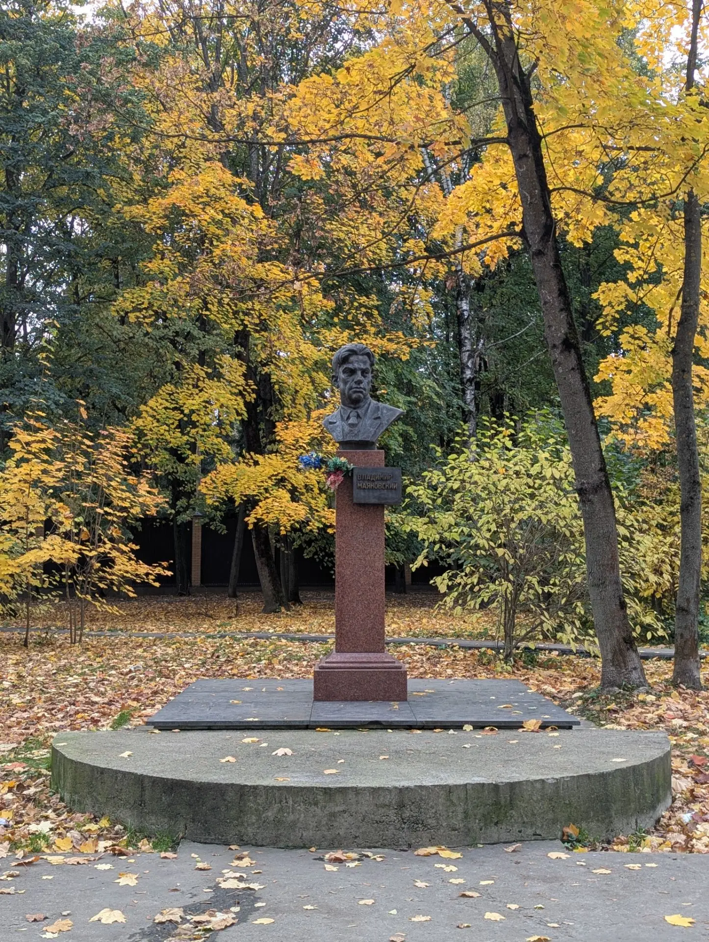 Осень в Пушкино 🍁