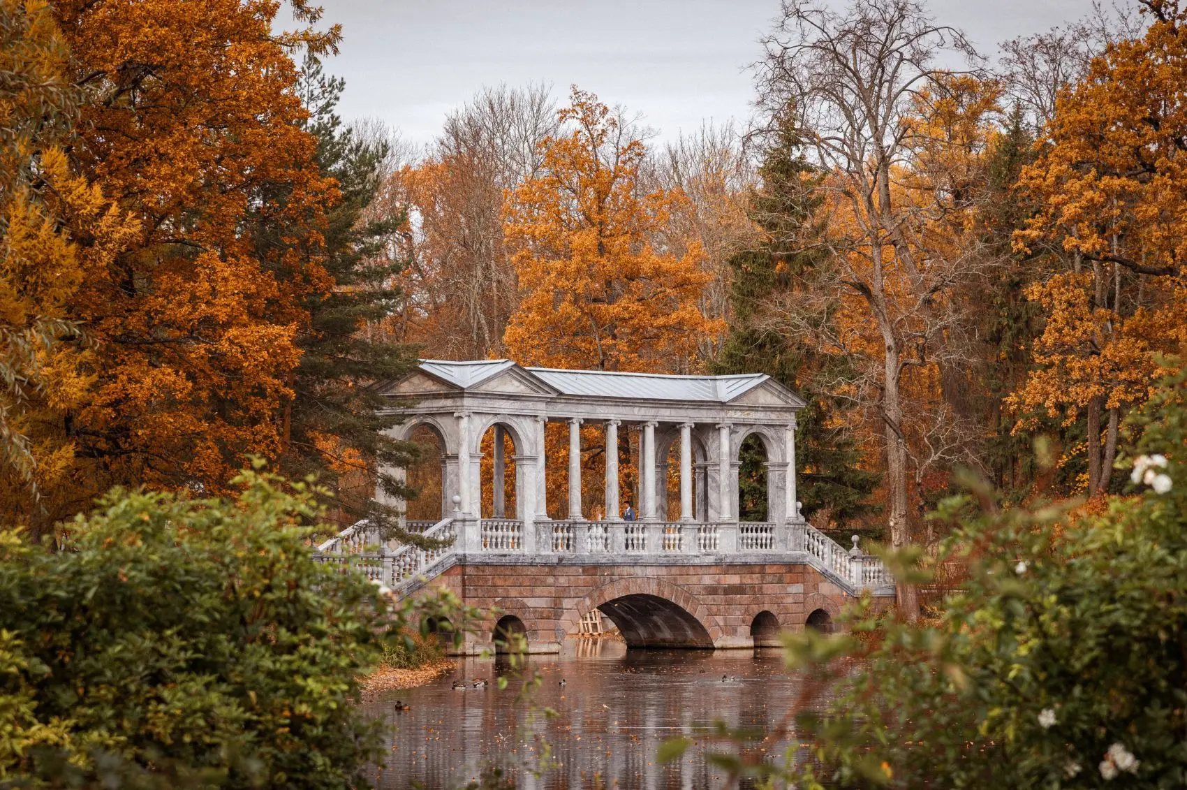 Доброе утро, Санкт-Петербург🍁