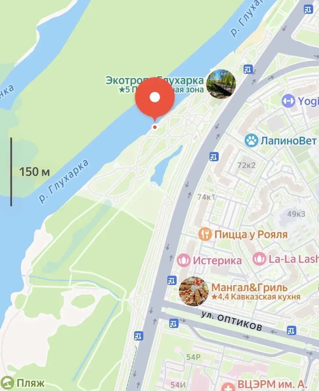 Крысы захватили набережную реки Глухарки