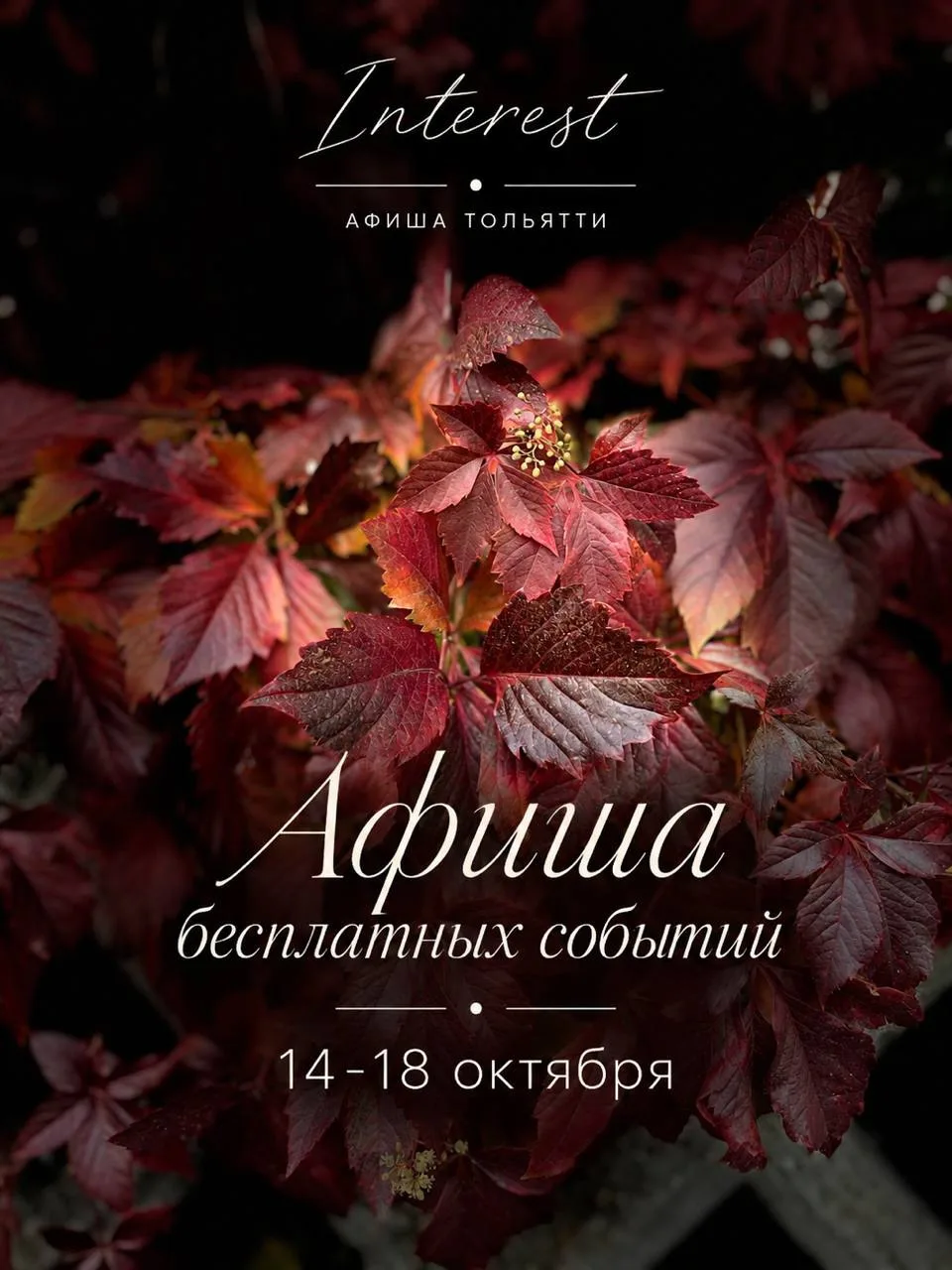Тольятти без затрат: 10 идей, куда сходить с 14 по 18 октября - бесплатно✨