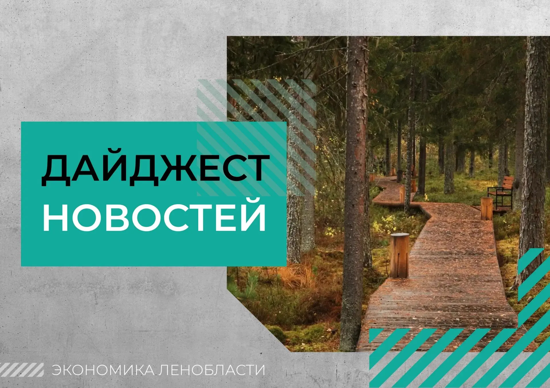 ⚡Дайджест региональных новостей