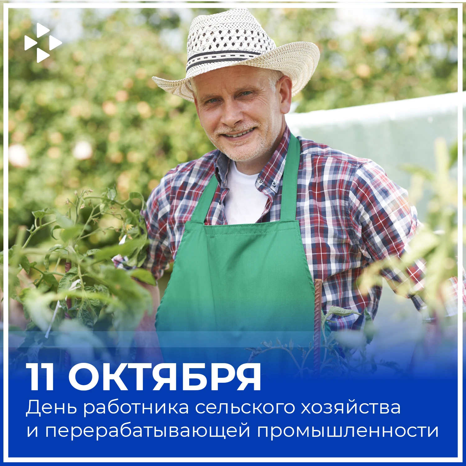 Дорогие работники сельского хозяйства и перерабатывающей промышленности! 🌾