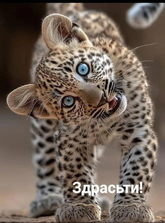 Доброе утро!                                                                           ...
