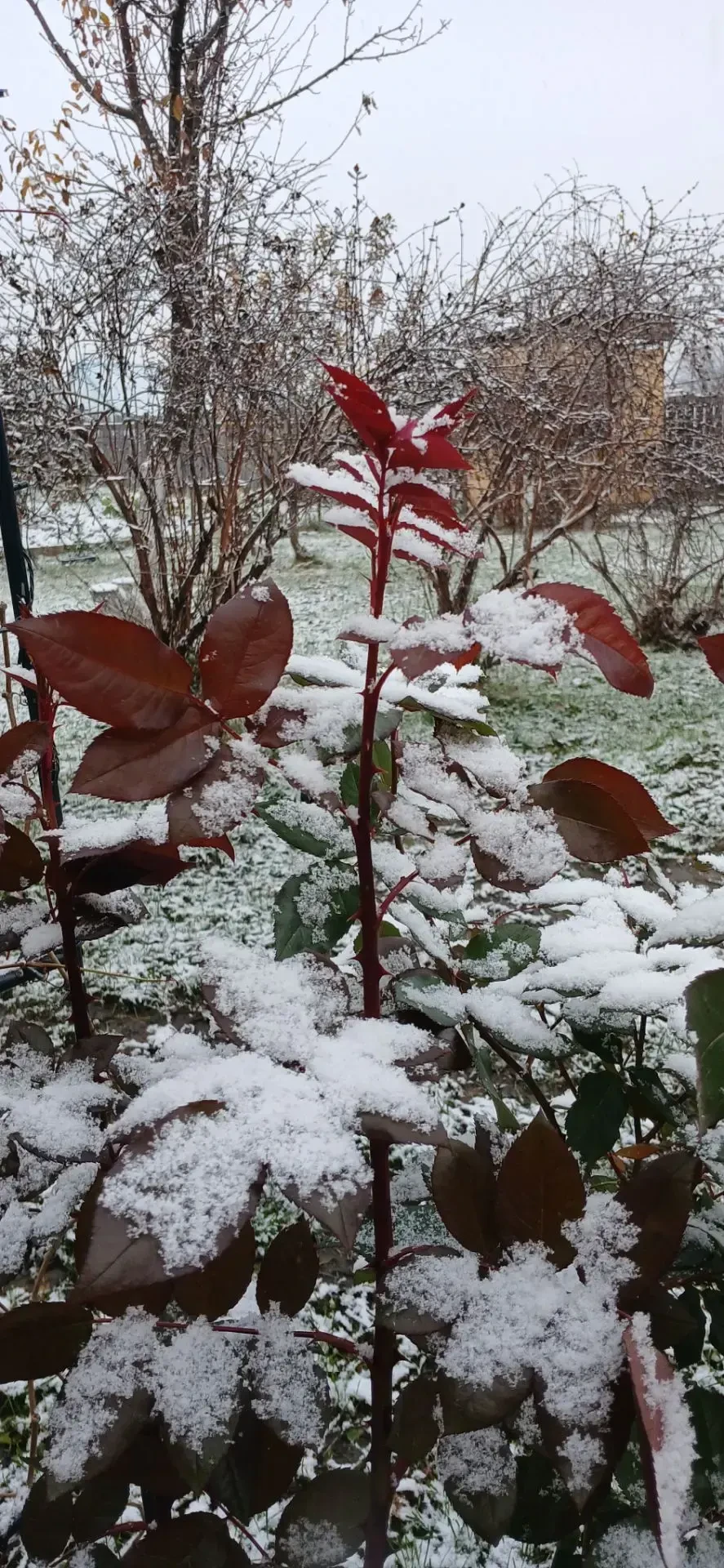 ❄️ Пятница!