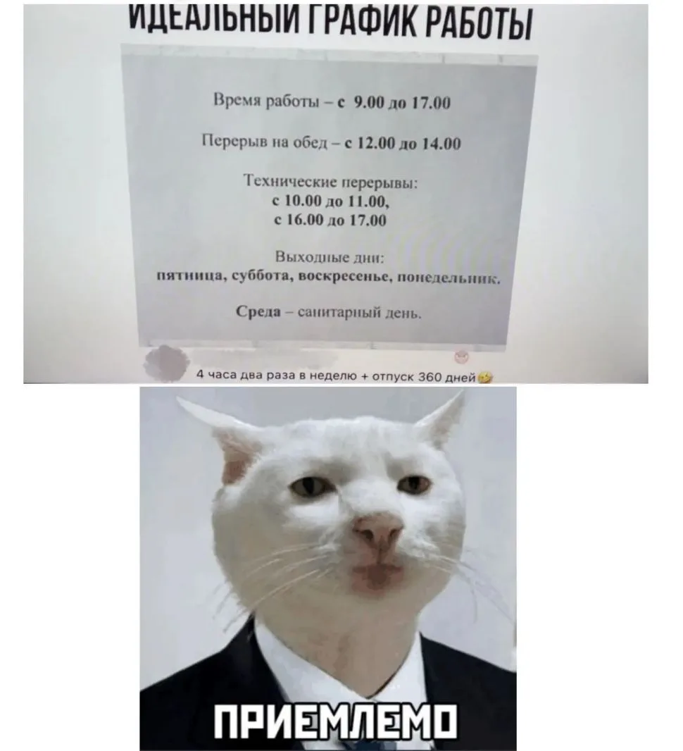 Если работа, то только такая