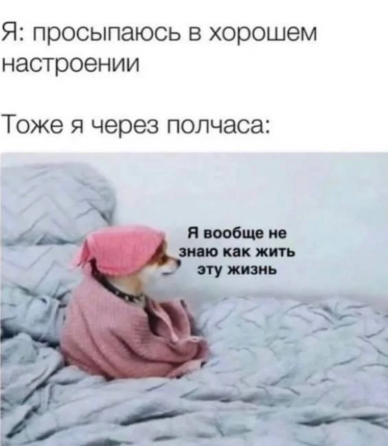 Пчёлка