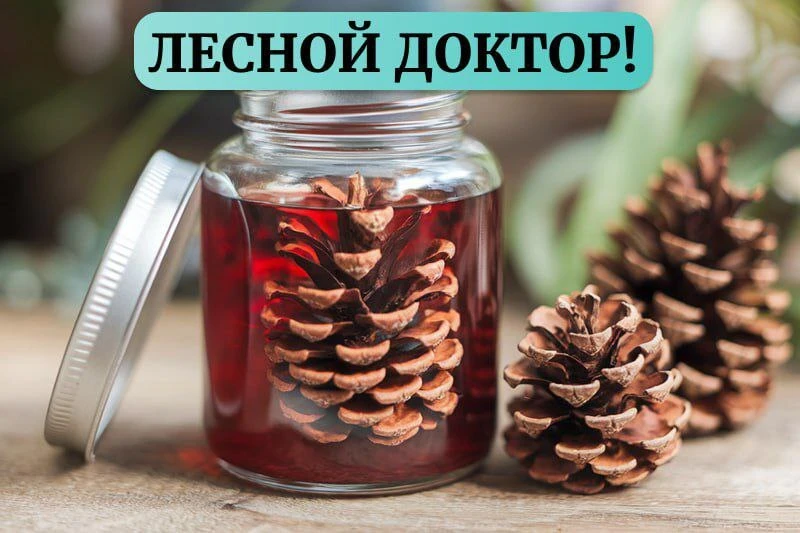 РАСШИРЯЕМ СОСУДЫ ДЛЯ ПИТАНИЯ ГОЛОВНОГО МОЗГА.