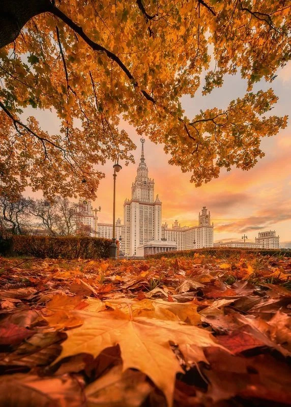 РАЗДАЧА - МОСКВА