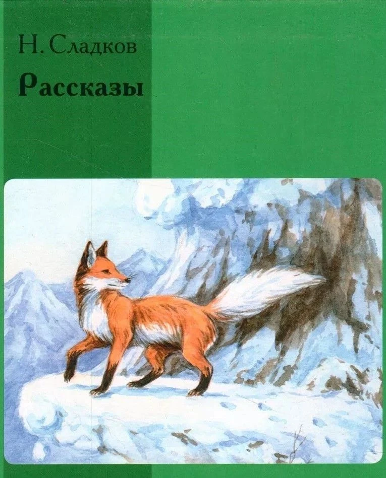 📚 История одной книги