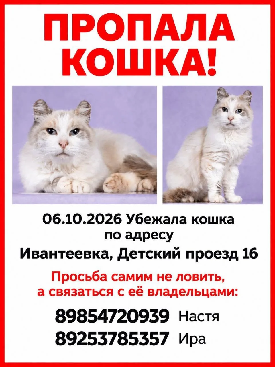 Здравствуйте. Опубликуйте, пожалуйста.