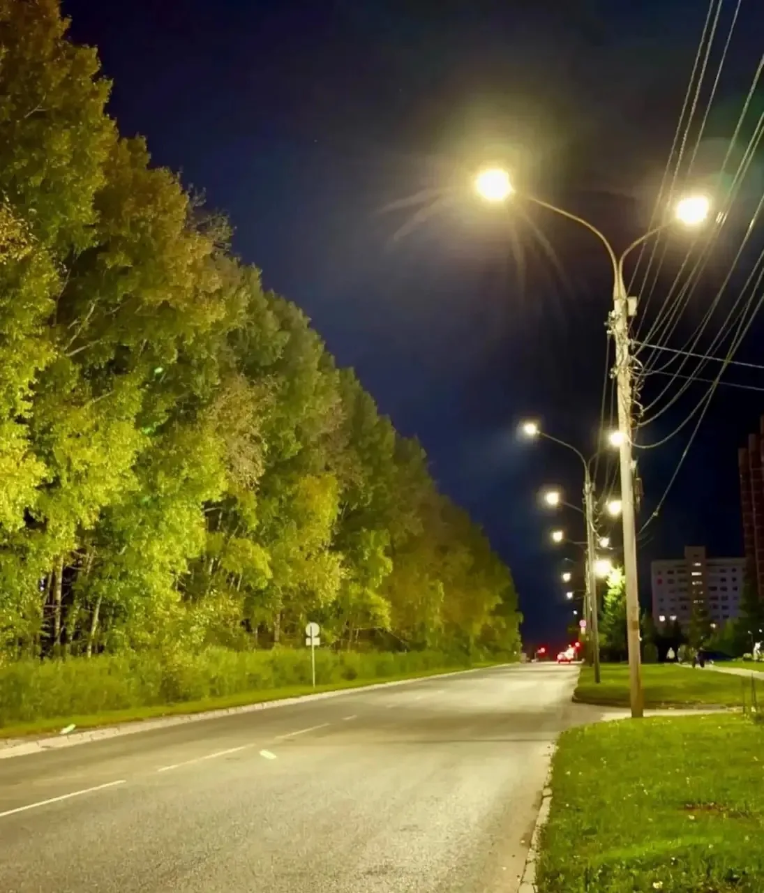 Стало светлее: 22 тысячи ламп заменили в Новосибирске 💡