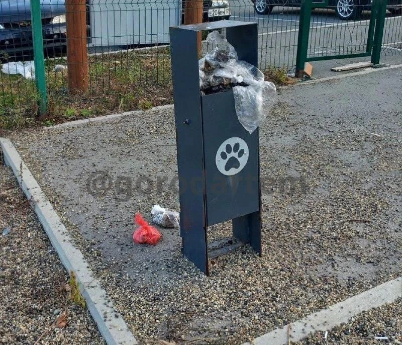 В Артёме мусорный контейнер на собачьей площадке превратился в свалку