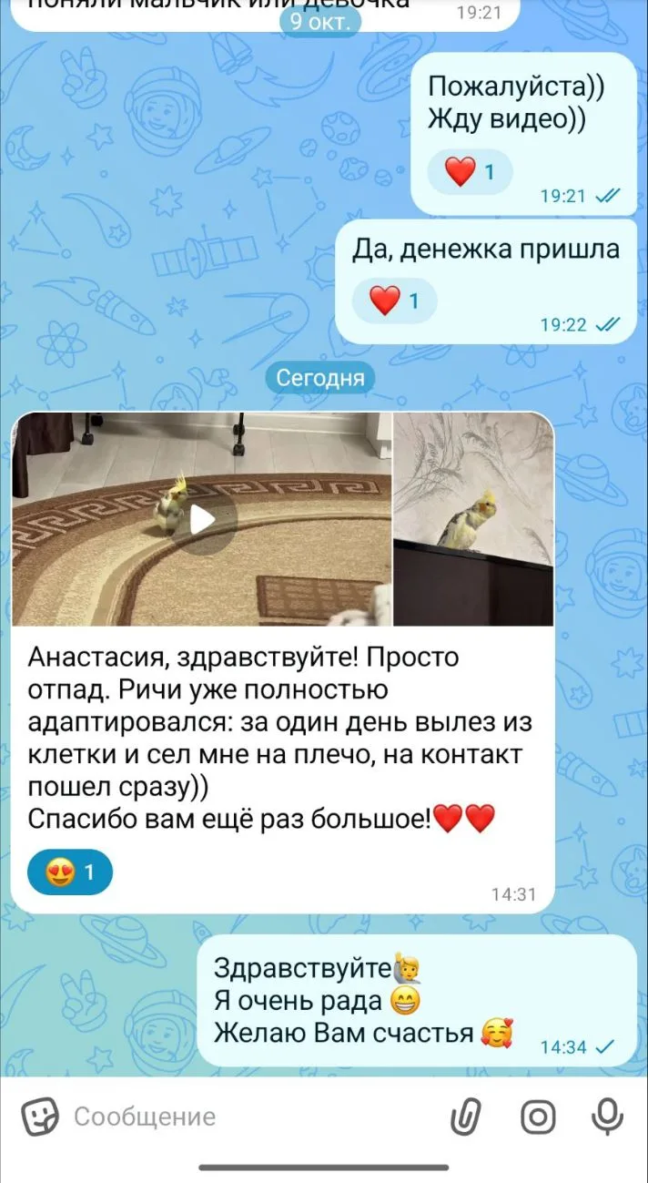 Любимая рубрика😃