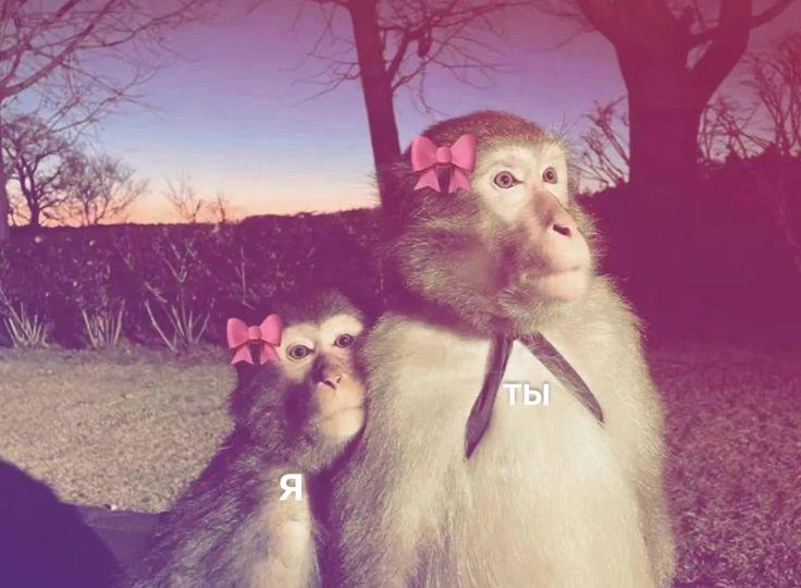 *мы бро