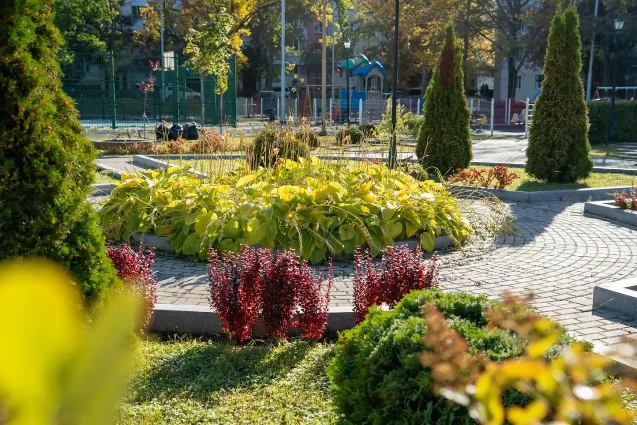 Городские пространства всё ещё радуют яркими цветами и зеленью, но наши озеленители уже...