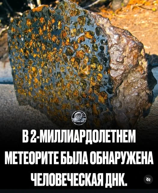 Ученые из Австралии заявили, что обнаружили следы человеческой ДНК в метеорите, котором...