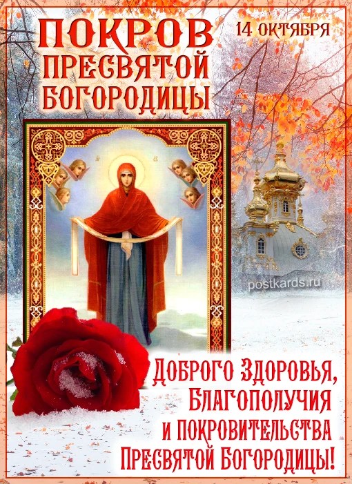 https://max.ru/invista123456