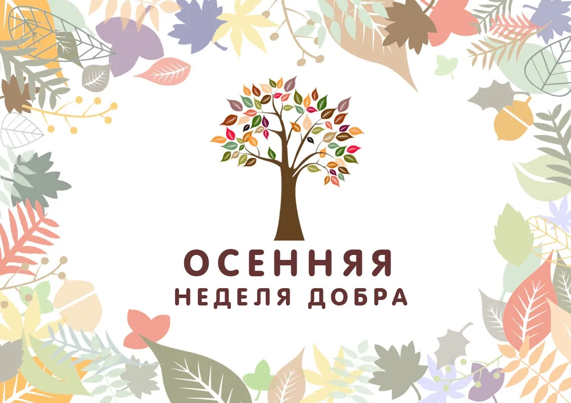 🍁Осень - время добрых дел!🤗