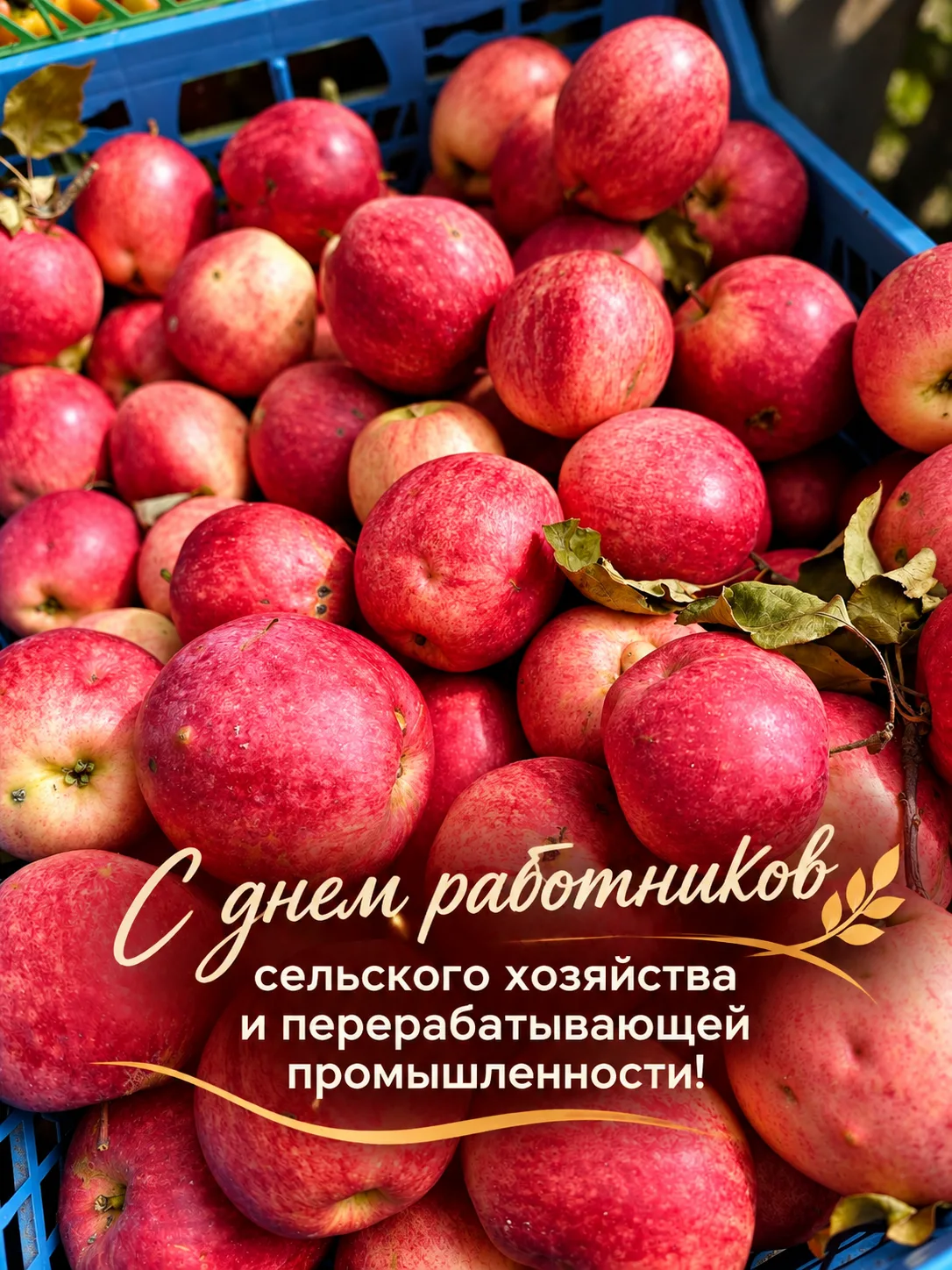 #мининвест53